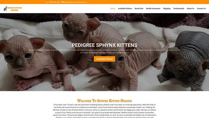 Screenshot of