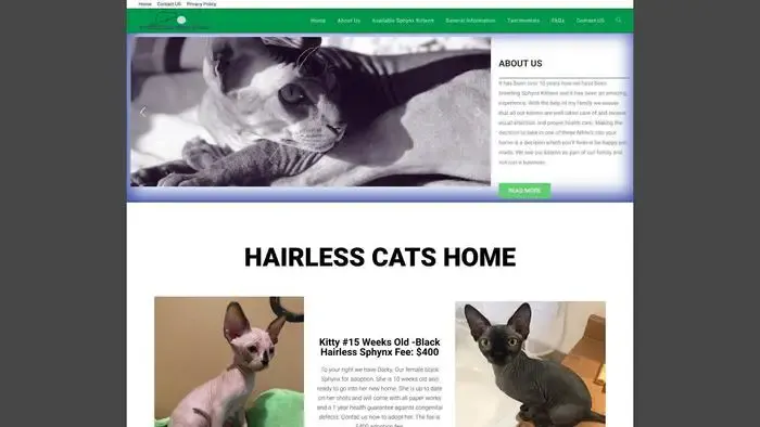 Screenshot of