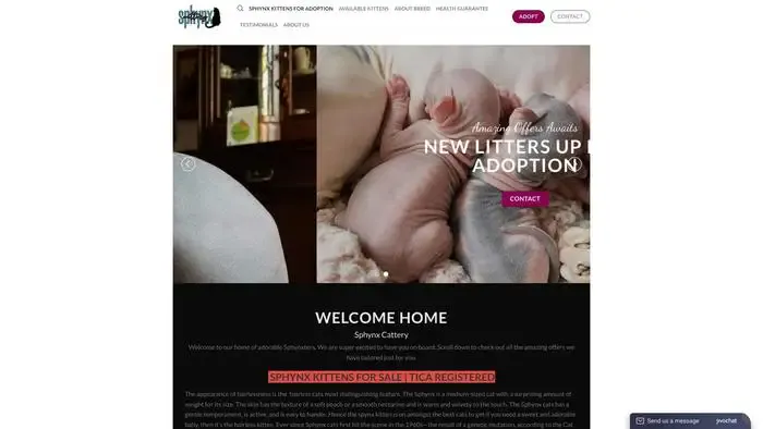 Screenshot of
