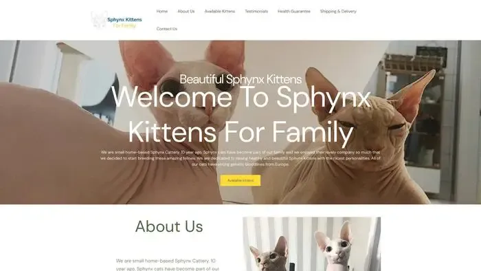 Screenshot of