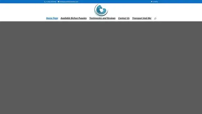Screenshot of