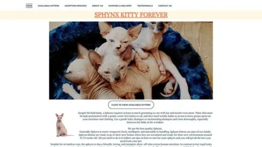 Screenshot of