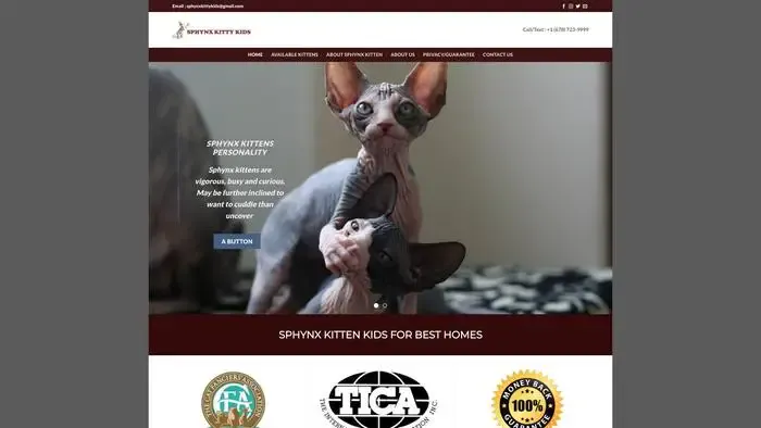 Screenshot of