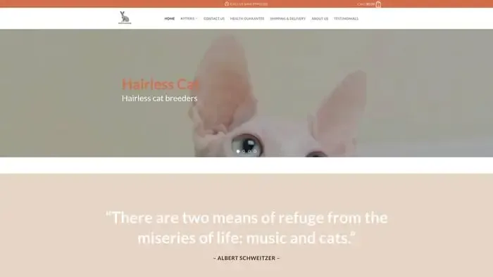 Screenshot of