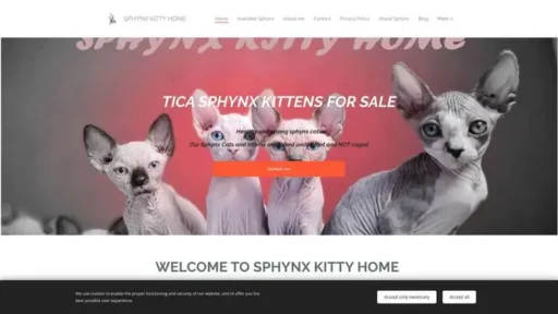 Screenshot of