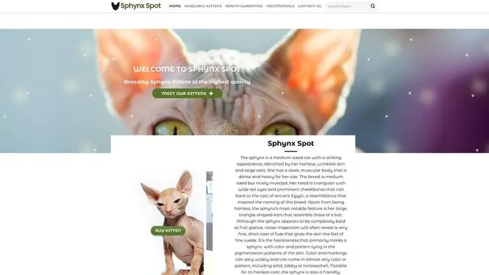 Screenshot of