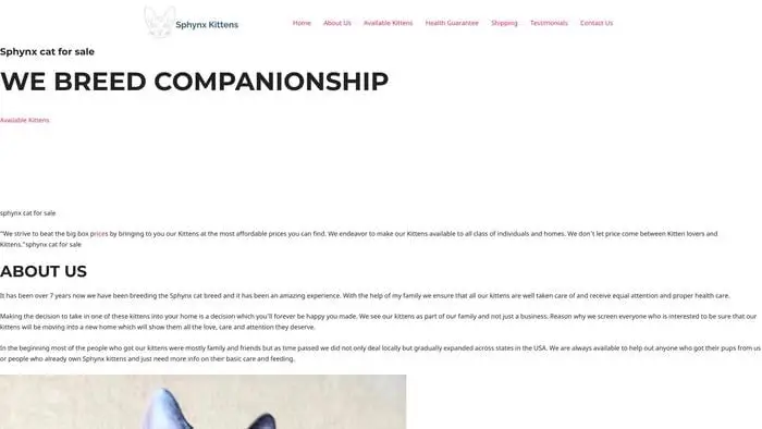 Screenshot of
