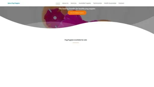 Screenshot of