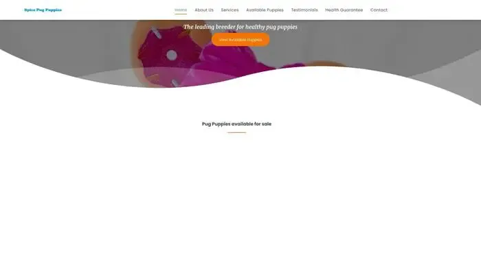 Screenshot of