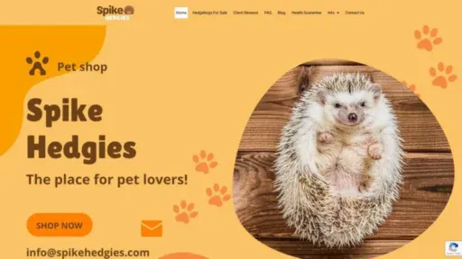 Screenshot of||
