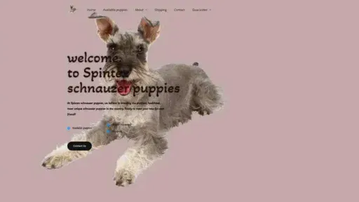 Screenshot of