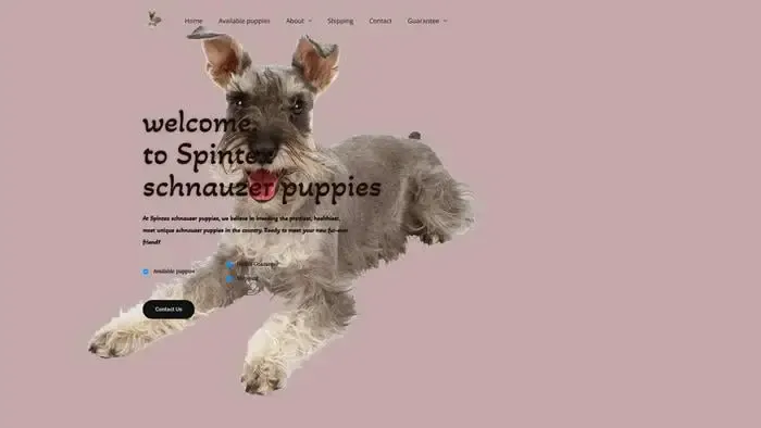 Screenshot of