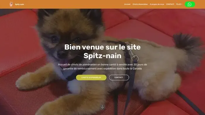Screenshot of