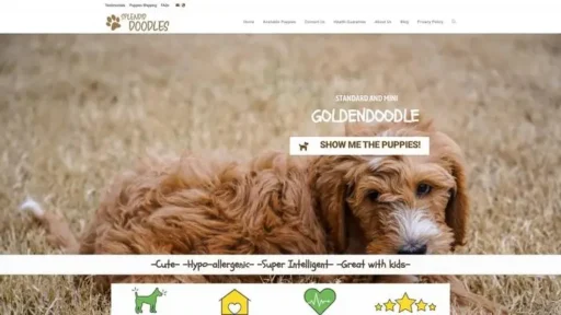 Screenshot of