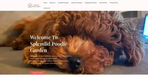 Screenshot of