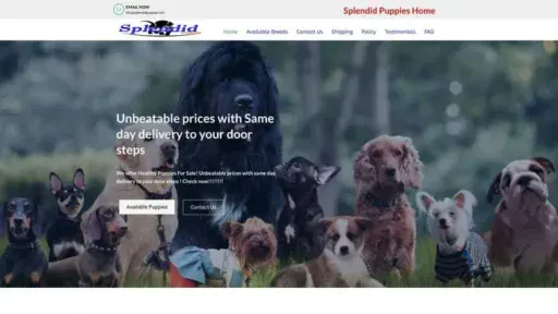 Screenshot of
