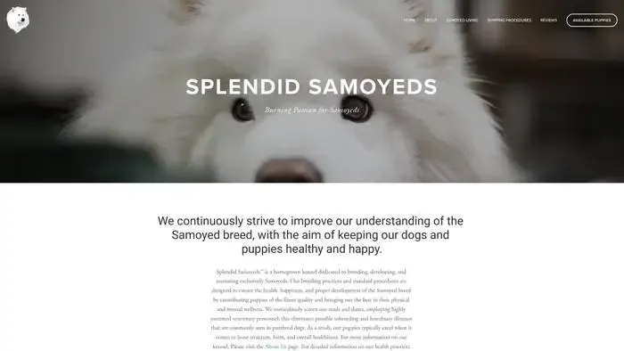 Screenshot of