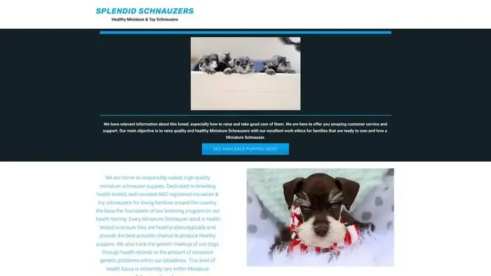 Screenshot of