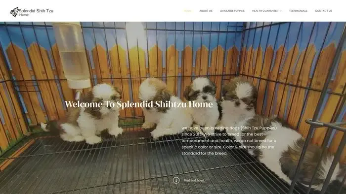 Screenshot of