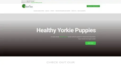 Screenshot of