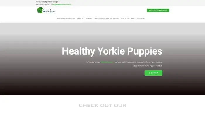 Screenshot of