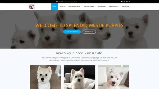 Screenshot of