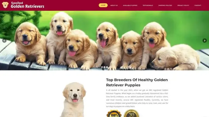 Screenshot of