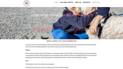 Screenshot of