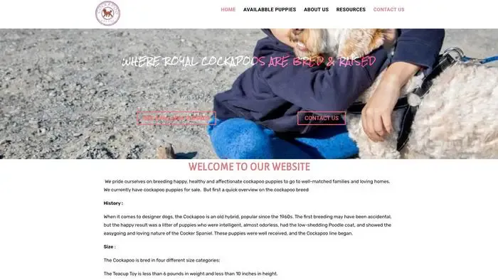 Screenshot of