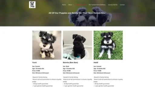 Screenshot of