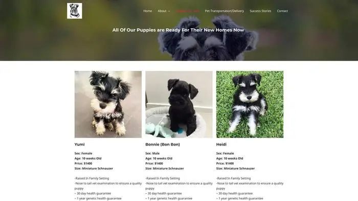 Screenshot of