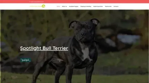 Screenshot of
