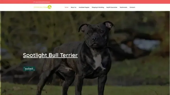 Screenshot of