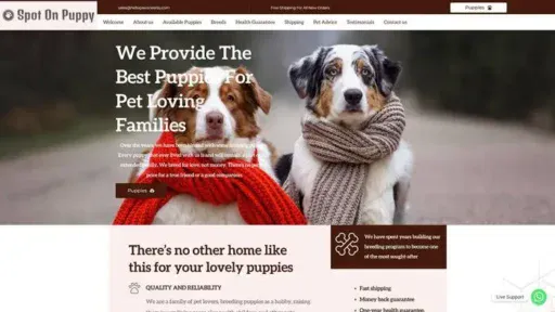 Screenshot of