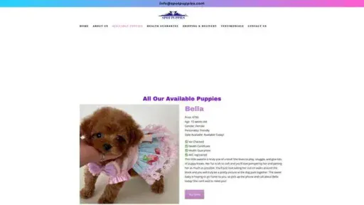 Screenshot of