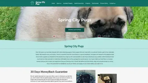 Screenshot of