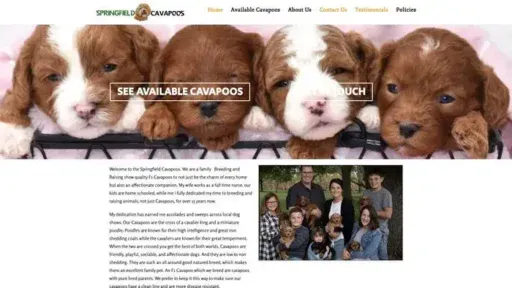 Screenshot of