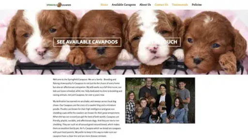 Screenshot of
