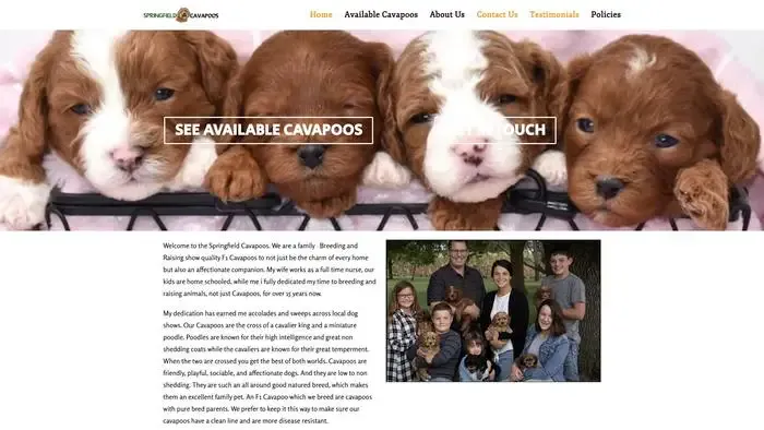 Screenshot of