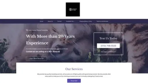 Screenshot of