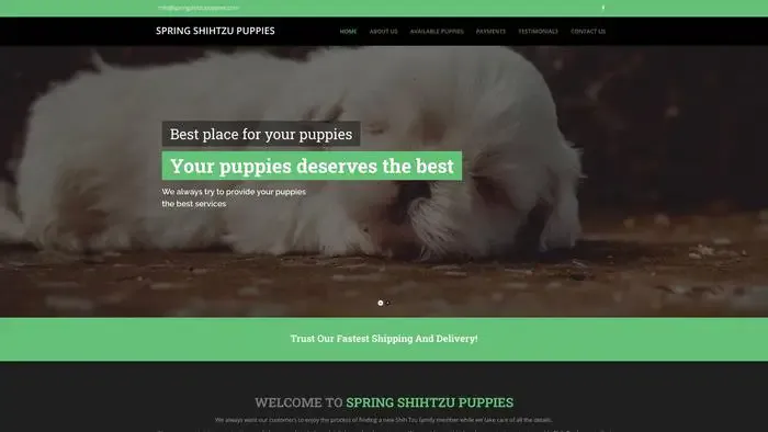 Screenshot of