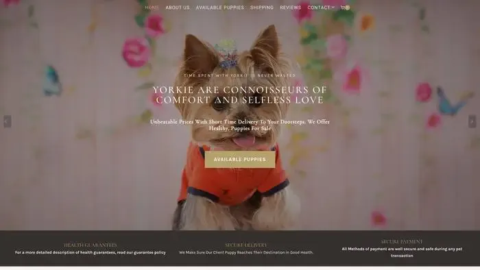 Screenshot of