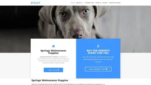 Screenshot of