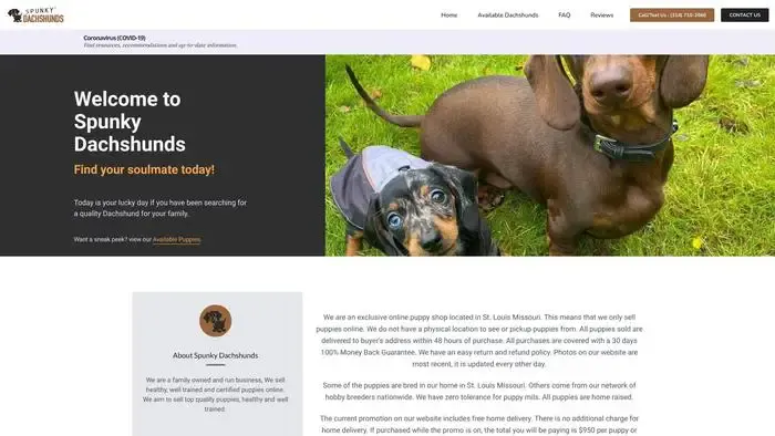 Screenshot of