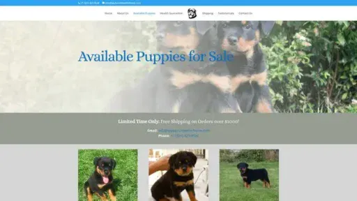 Screenshot of
