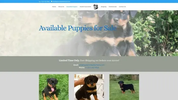 Screenshot of