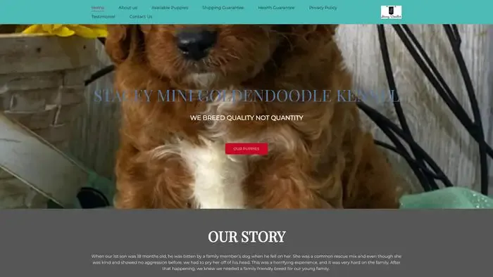 Screenshot of