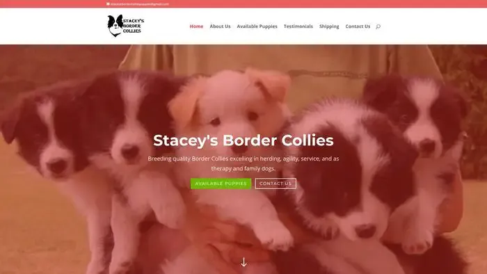Screenshot of