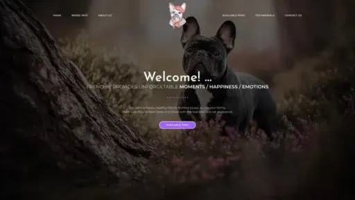 Screenshot of
