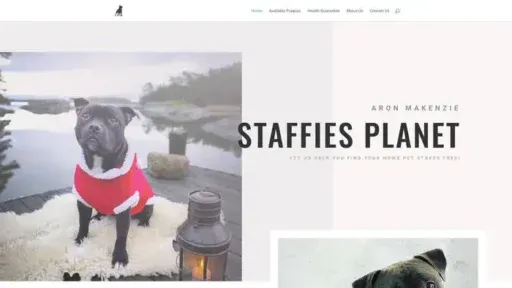Screenshot of